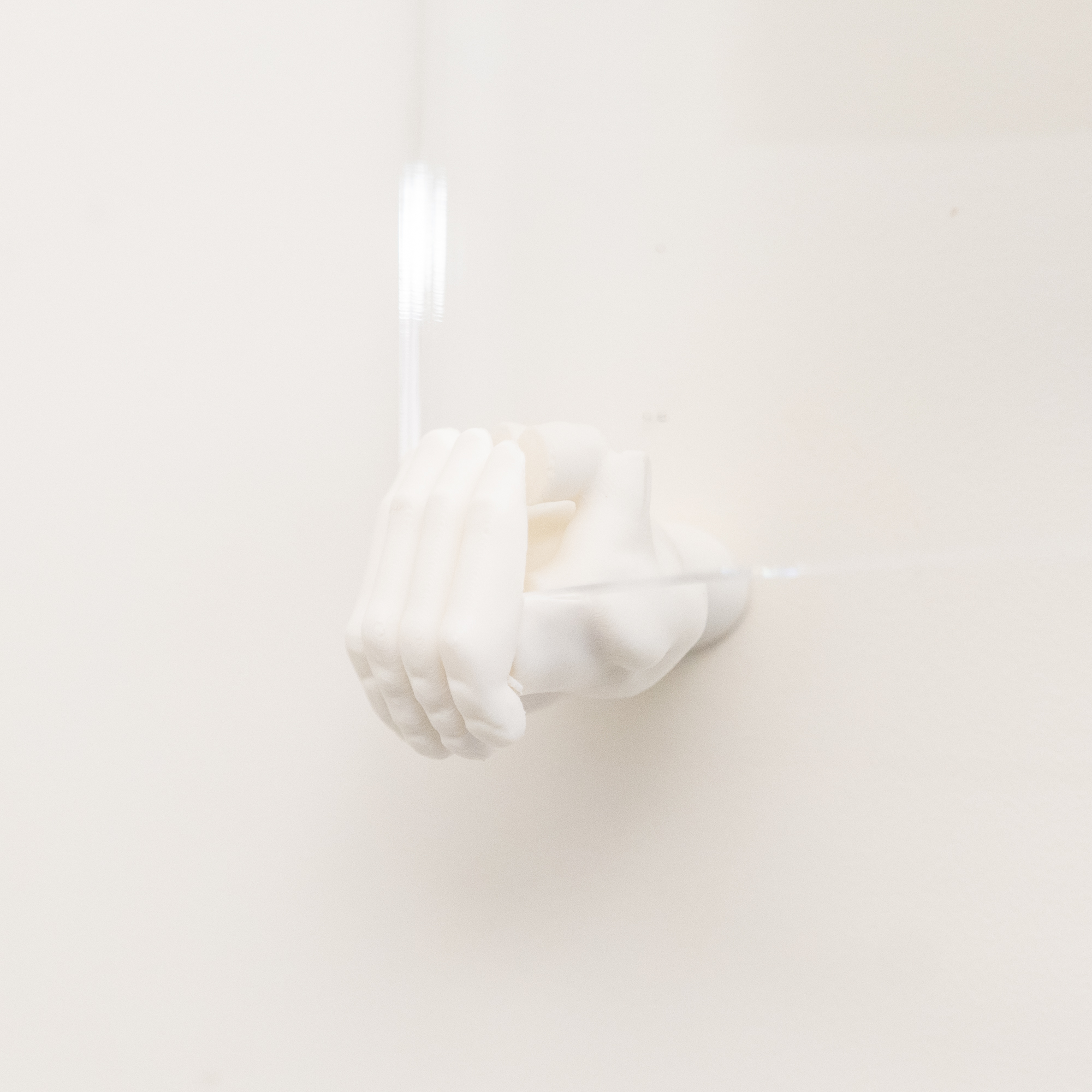 Inox pastry ring